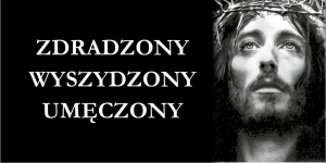 Tło tekstylne do Ciemnicy - 08