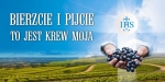 Baner I Komunia Święta - 05