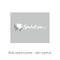 Brak wykończenia_baner.png