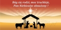 Baner PCV poziom (Boże Narodzenie)- wzór 1.jpg